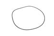 010528-001 - O-RING