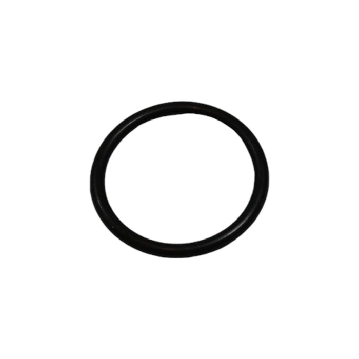 04691388 - O-RING