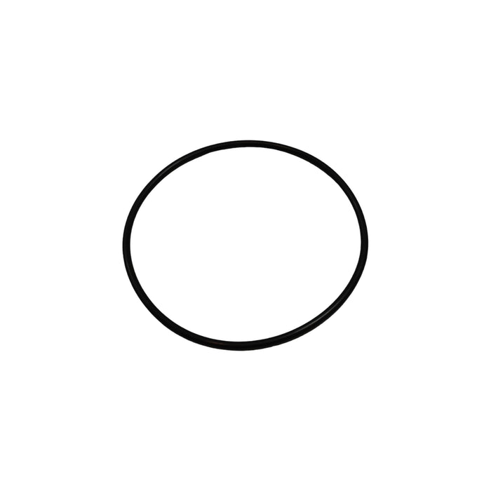 04698125 - O-RING