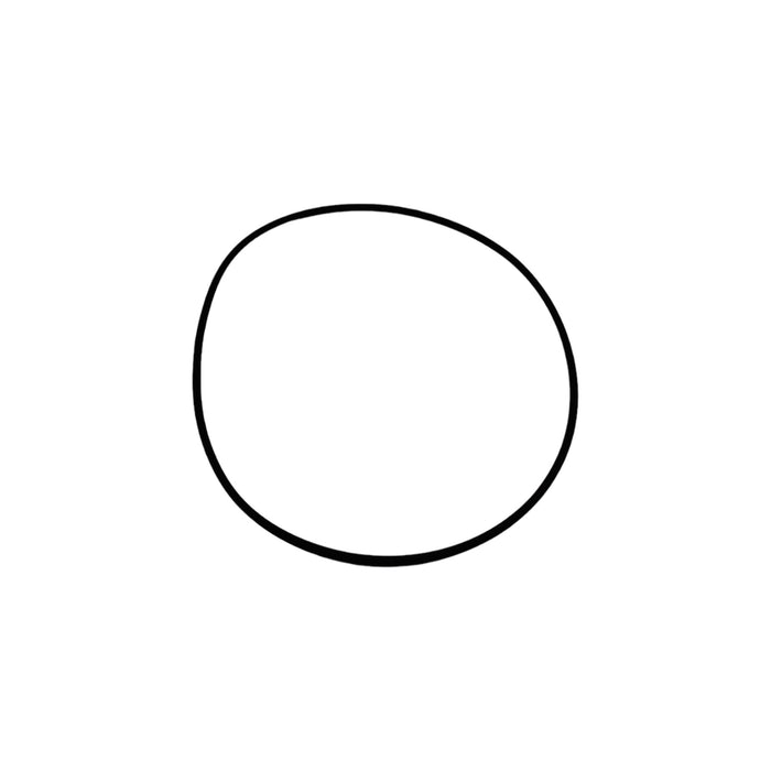 0611207.024.01 - O-RING