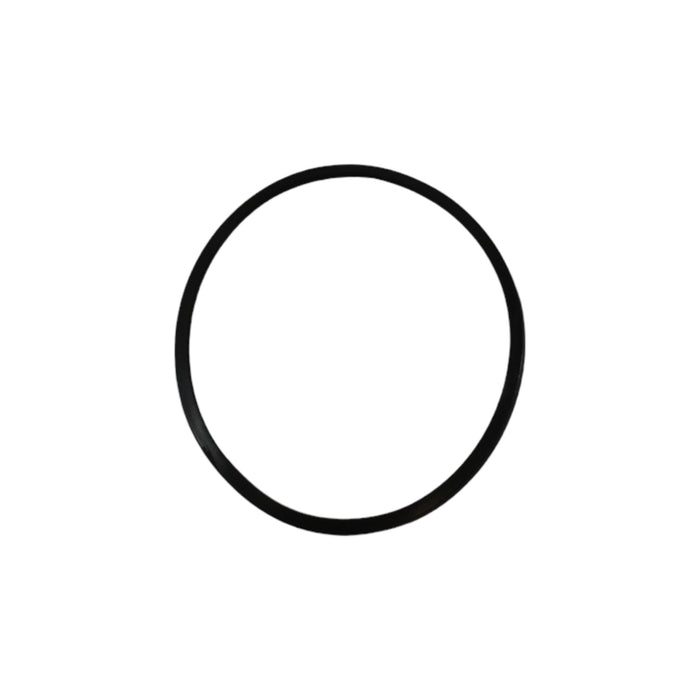 06244841 - O-RING