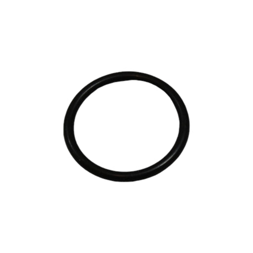 064203422 - O-RING