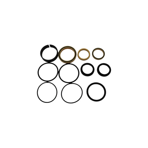 108099-OEM - SEAL KIT, 3015/3219 STEER CYLI