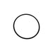 10868294 - O-RING