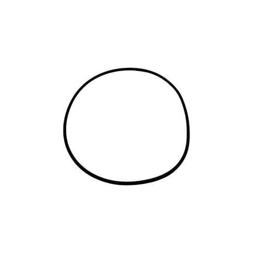 11207.008.01 - O-RING