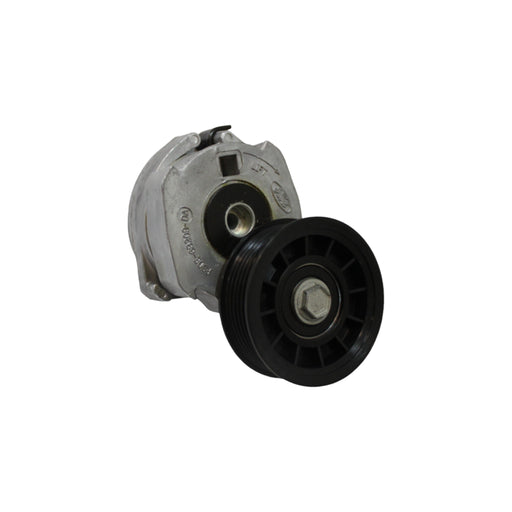 119469GN - PULLEY AND TENSIONER, DSG423