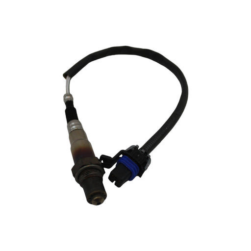 1EG79381 - SENSOR, O2