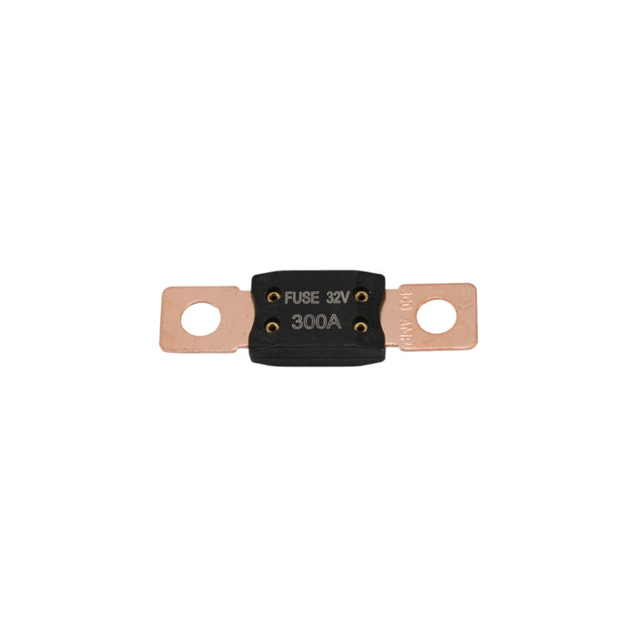 1FS74956 - FUSE, 300 AMP