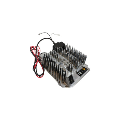 223160-OEM - DELTA Q BATTERY CHARGER FOR CO