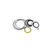 2900699 - SEAL KIT, DRIVE MOTOR ASSY