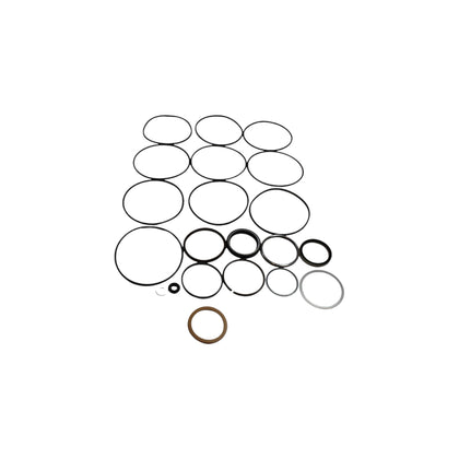 310568-OEM - SEAL KIT FOR 310545