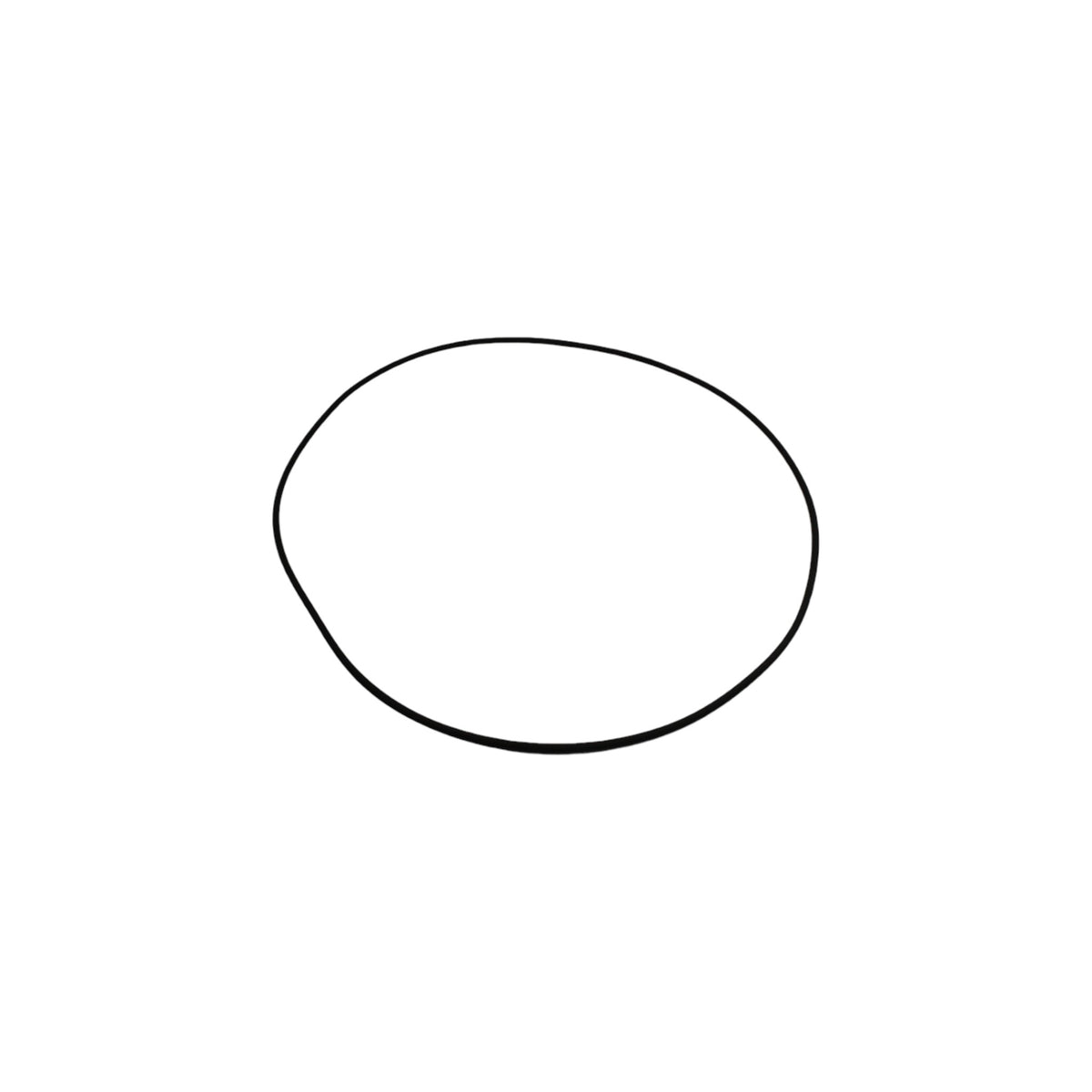 GEHL 102603GL - O-RING | RSW Parts