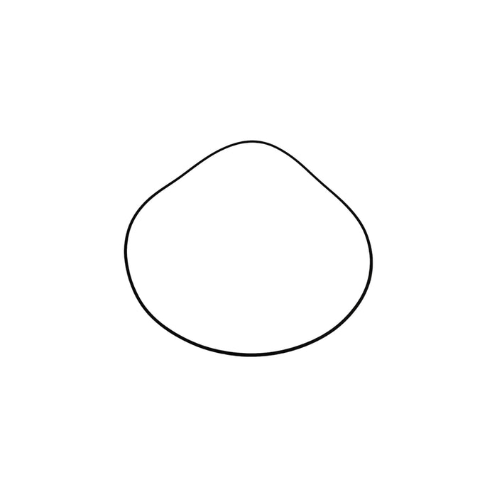 491345025 - O-RING