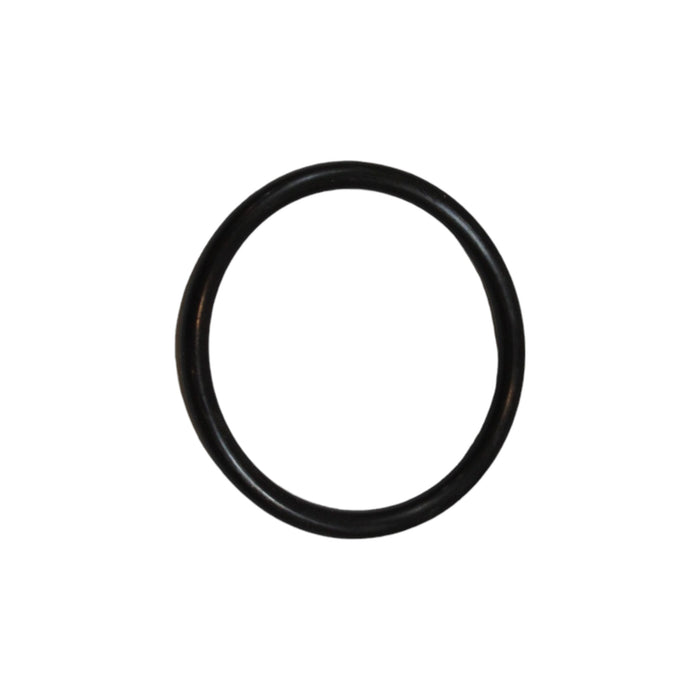 600105.0818 - O-RING