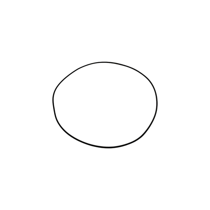 600105.1119 - O-RING