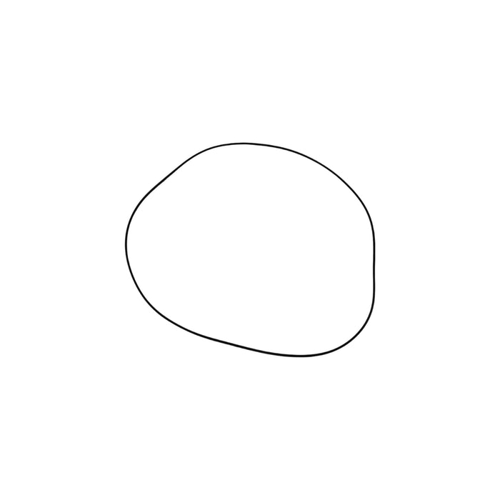 00105.2945 - O-RING